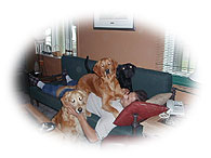 Des sances de calins au salon