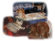 Dormir sur ses deux oreilles!