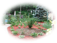 Les odeurs de la nature au bout du nez