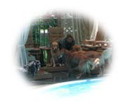 Une valuation amusante et enrichissante