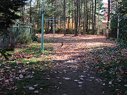 Vue du balcon  sur le parc à chien
