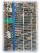 De l'espace pour se dégourdir les ailes