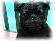 Il n'a pas besoin de nous supplier, il a juste besoin d'être lui-même pour recevoir amour et soin